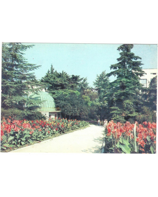 Крым. Никитский ботанический сад. Уголок сада