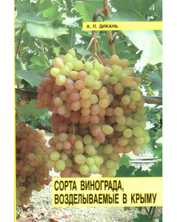 Основные сорта винограда, возделываемые в Крыму
