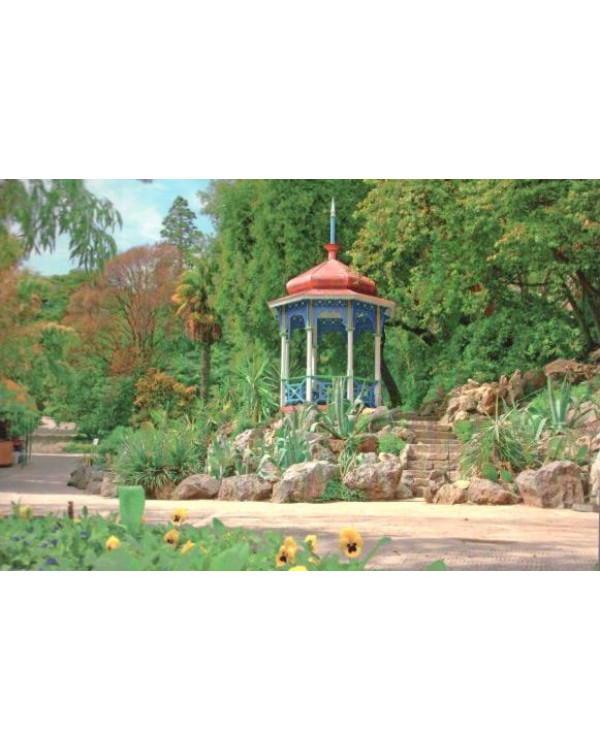 Никитский ботанический сад. Открытка
