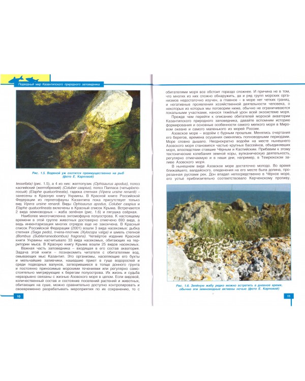 Подводный мир Казантипского природного заповедника