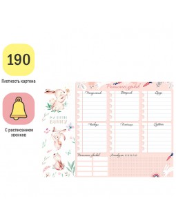 Расписание уроков с расписанием звонков А4 ArtSpace "Пиши-стирай. Cool girl", розовый